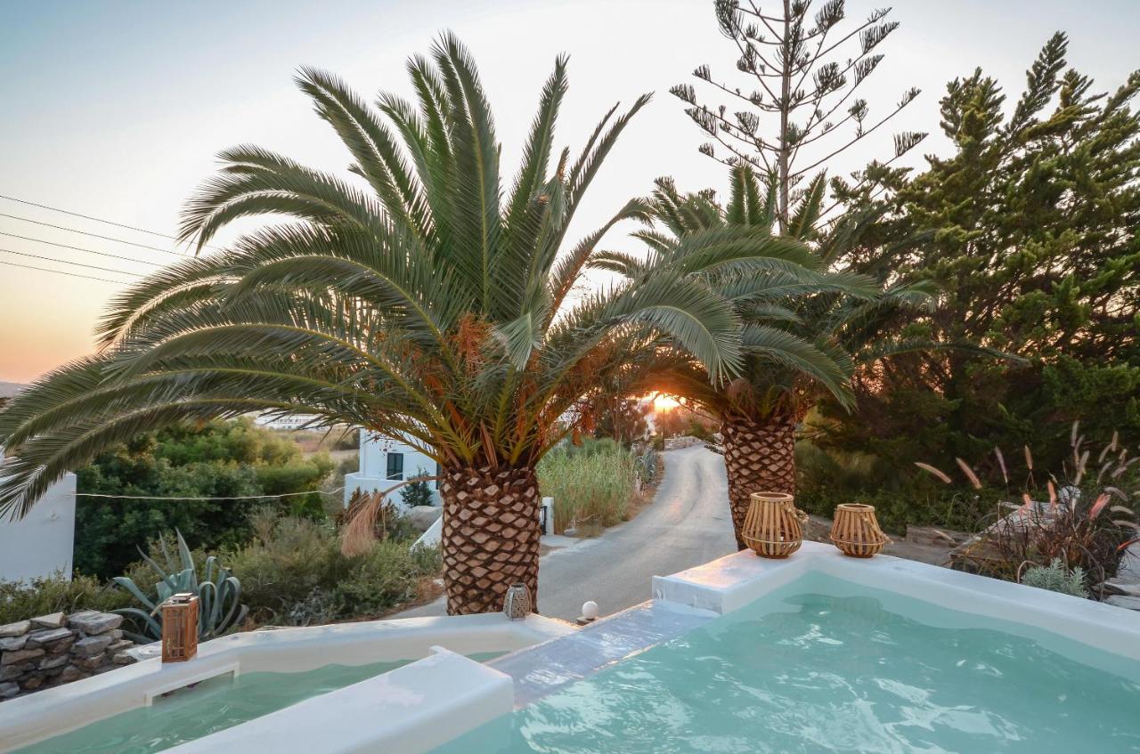 Flora'S Villa With Plunge Pool Agkidia Екстериор снимка